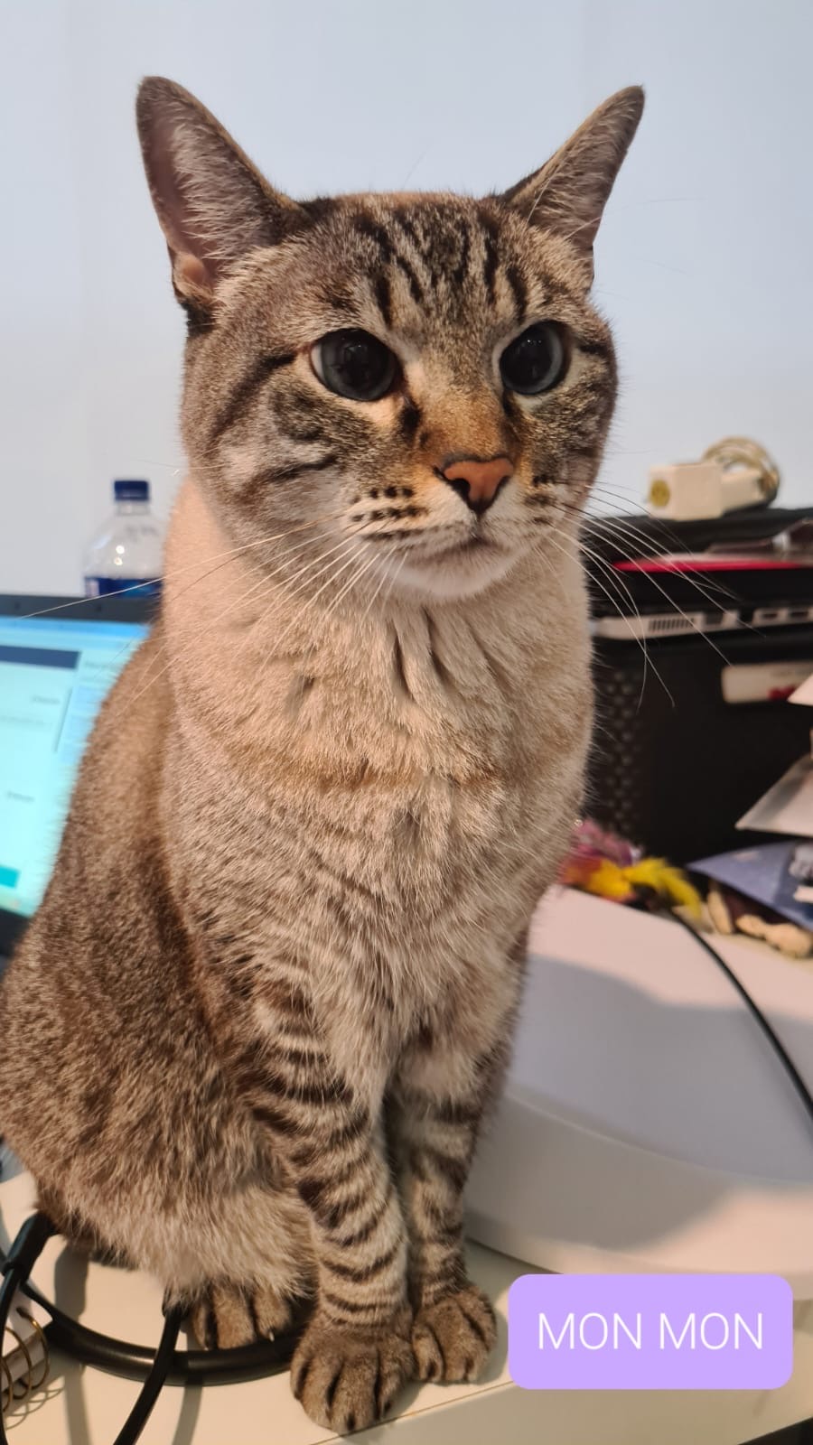 Mon Mon