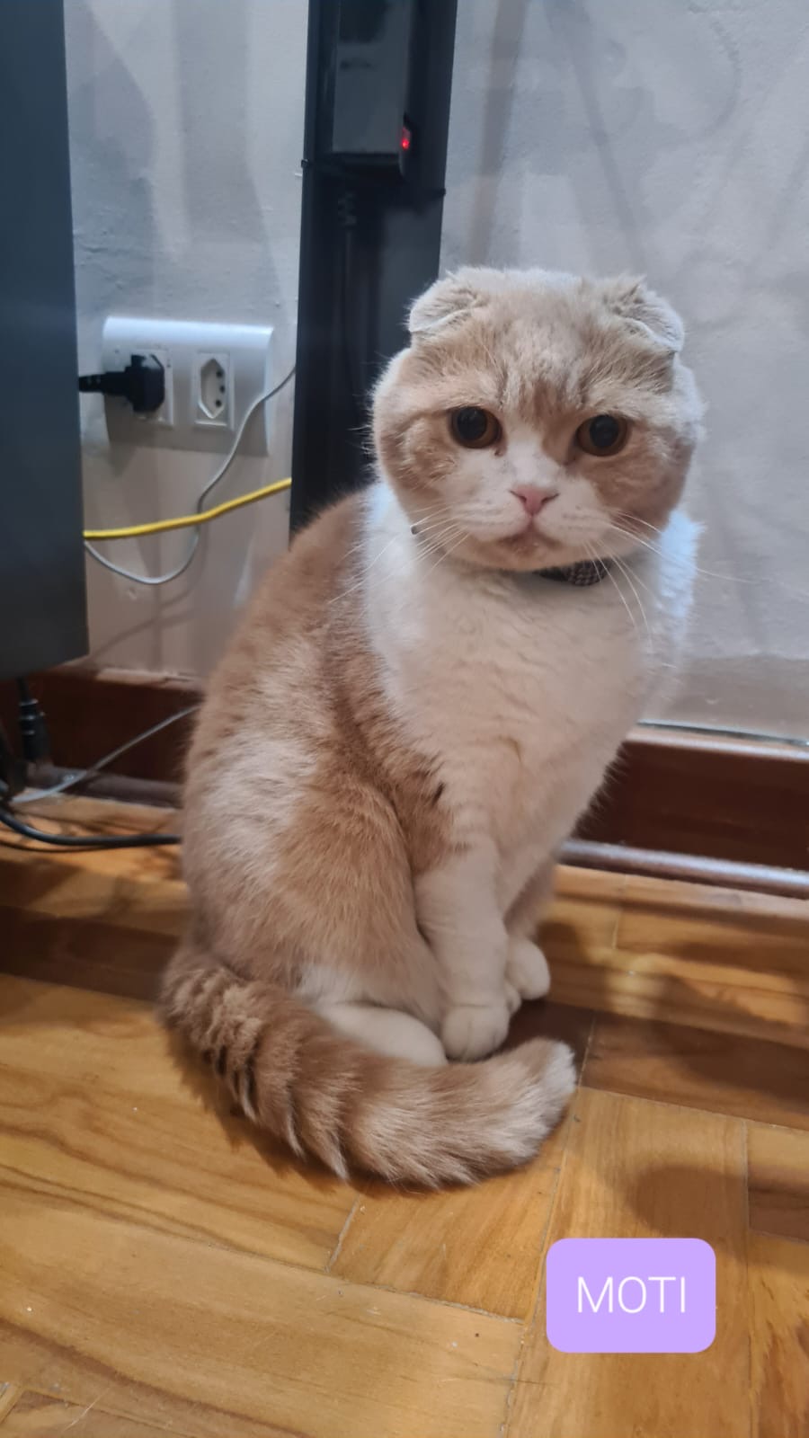 Moti